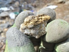 Lifetime RMPA Membership. Unlimited Access to 18 Mining Claims. Find Real Gold picture
