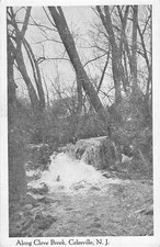 Colesville New Jersey Along Clove Brook Antique Postcard K57698 picture