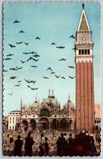 Vintage Venice St. Mark's Square Basilica Campanile Fratelli Sgrocchi Postcard picture