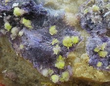 14.6cm 1.26LB DOUBLE FACE flowery Carlhintzeite&Creedite&Fluorite crystal picture