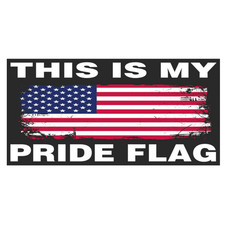 THIS IS MY PRIDE FLAG Political Bumper Sticker 3.5X7.5 Waterproof UV Protected picture