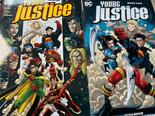 DC Young Justice Book One book 2 graphic novel by Peter David Color picture