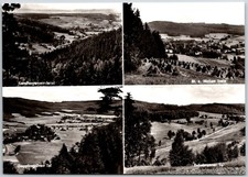 Scenic Views Erlbach Vogtland Germany Featuring Forests Valleys RPPC Postcard picture