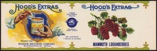 HOOD'S EXTRAS antique can label MAMMOTH LOGANBERRIES 1910s Bashaw Minneapolis picture