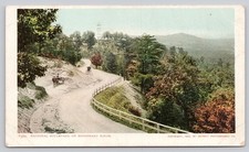1905 Missionary Ridge National Boulevard Horse Carriage Postcard Detroit Photo picture
