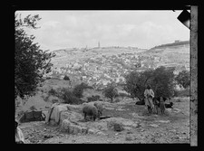 Photo:Jerusalem Mt Zion Olivet 1900s Panorama Shepherds picture