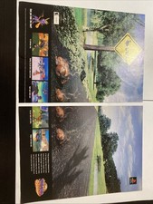2001 Spyro Year Of The Dragon PS1 Original Advertisement / Retro Promo Poster picture