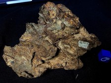 NICE SIKHOTE ALIN 810g METEORITE SPECIMEN picture