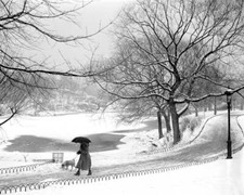 Snow scenes in Central Park New York Old Photo picture