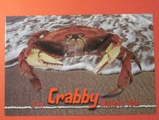 Post Card: I'm Crabby Without You - Oregon's Beautiful Coast Line picture