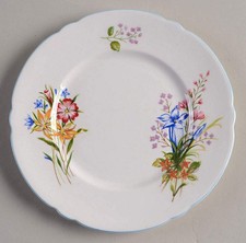 Shelley Wild Flowers Bread & Butter Plate 666603 picture