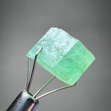 15ct Beryl Var Gemmy Medium Green Emerald Crystal from Chitral, Pakistan picture