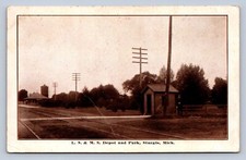 JH3/ Sturgis Michigan Postcard c1910 LS&MS Railroad Depot and Park 107 picture