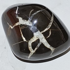 Polished Michigan Septarian Lightning Stone 2