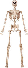 6.9 Ft Halloween Posable Life Size Skeleton Yellow, Movable Joints Set picture