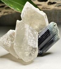 LIMITED AVAILABILITY 92 Gram Bi-Color Tourmaline & DT Quartz - Pakistan picture