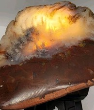 Carey plume agate - Rare 