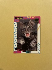 1992 Star Pics SNL Trading Card Toonces #24 Driving Cat picture