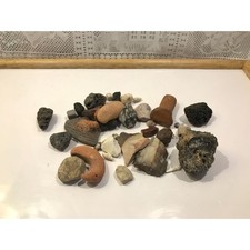 Vintage rocks, mosaics, pumice, and fossil shells from Mediterranean and Zoar picture