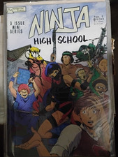 ninja high school # 1  1987 AP antarctic press ben dunn   key picture