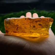 Natural Big Honey Gold Amber Rough Specimen with Insects 192 Cts picture