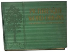 Picturesque Word Origins 1933 G and C Merriam Hardcover Illustrated Dictionary picture