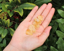 5 Citrine Tumbled Stones: Polished Crystals picture