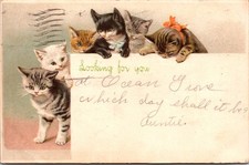 Adorable Kittens Looking For You Embossed DB Postcard Y25 picture