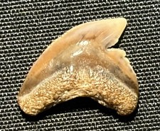 1/2
