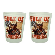 Gulf of America - Funny Shot Glasses (Set of 2) picture