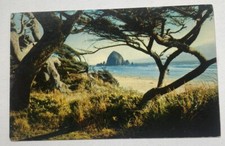 Vintage Postcard c1959 ~ Pacific Coast, Ford Dealer Ad ~ Glendale California CA picture