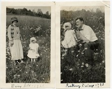 GIRL & PARENTS PICKING DAISIES DAISY FIELD 1923 FASHION VINTAGE SNAPSHOT PHOTOS picture