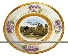 GRUSS AUS PEINE GERMANY SAXONY Souvenir PARK Antique Gold PAINTED DISH PLATE picture