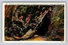 OR-Oregon, Entrance To Oregon Caves, Antique, Vintage Souvenir Postcard picture