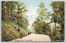 Toronto High Park View Postcard Gebhardt Photo Co. W.J. Gage Undivided Back picture