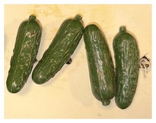 4 Vintage Celluloid HEINZ Green Pickle Pins • VERY RARE EARLY 57 VARIETY • 1.25
