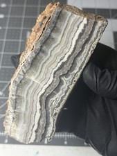 Laguna Lace Agate Polished Specimen Nice Banding picture