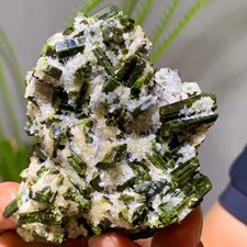 293G Natural green tourmaline quartz crystal cluster mineral specimen picture