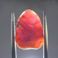 14ct Unheated Red Ruby Fluorescent Natural Earth Mined Rough River Worn Pebble picture