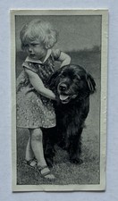 Carreras Dogs & Friend No. 43 Newfoundland Dog Tobacco Card CC43 picture
