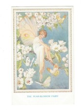 SD3219 FAIRIES OF THE COUNTRYSIDE , THE PEAR-BLOSSOM  FAIRY COL PRINTED picture
