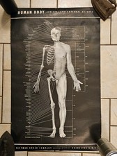 Vintage 1940s Original - Early Human Body Poster by Eastman Kodak Company  picture