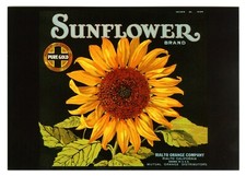 SUNFLOWER~HISTORICAL FRUIT CRATE LABEL ART RIALTO CALIFORNIA~NEW 1986 POSTCARD picture