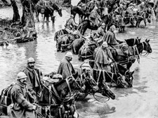 Italian cavalry World War I OLD PHOTO picture