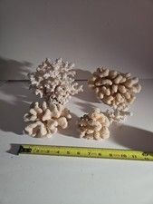 VTG REAL SEA CORAL Lot CAULIFLOWER LACE AQUARIUM REEF WEDDING BEACH OVER 4 LB picture