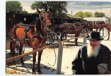 Postcard Horse & Buggy Parking Area Clare Michigan USA picture