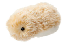 Casio AI Pet Moflin Gold Communication Robot PE-M10GD-IJ NIB IN STOCK SHIPS FREE picture