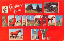 Lexington KY Kentucky Greetings From Large Letter DT-96493-B Chrome Postcard picture