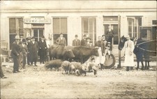 Falmouth KY General Store Livestock GREAT IMAGE c1910 Real Photo Postcard bhn picture
