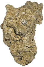 Medium Unidentified Fossil Specimen | RARE 3D Soft-Body Geometry | SEE VIDEO picture